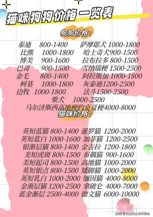 广州哪里可以买到拉布拉多广州买拉布拉多这里安全可靠可