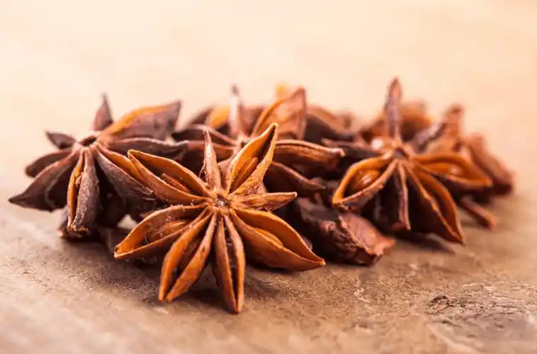 温阳散寒,理气止痛的"厨房中草药"!_八角茴香