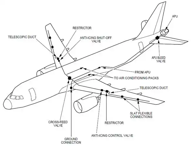 大翼前缘大脾气怕冷怕热爱挑剔