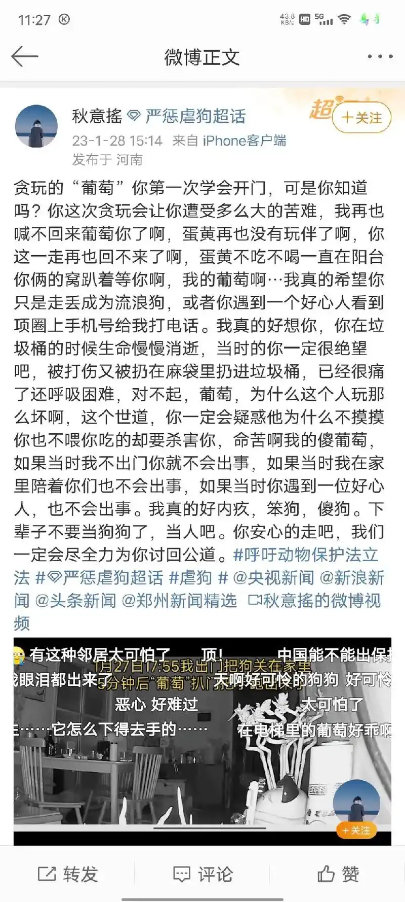 为可怜的拉布拉多葡萄发声.