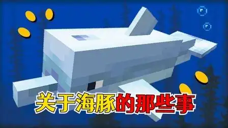 我的世界:关于海豚的冷知识,恩典buff会为你提高游泳的速度