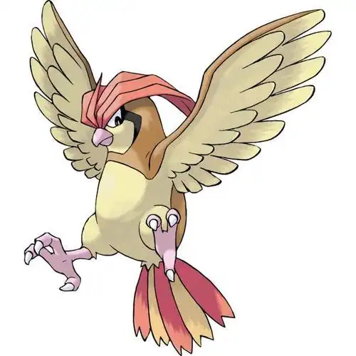 hallo小伙伴们,这里是哆啦百宝袋,这次我们要说的神奇宝贝是比比鸟