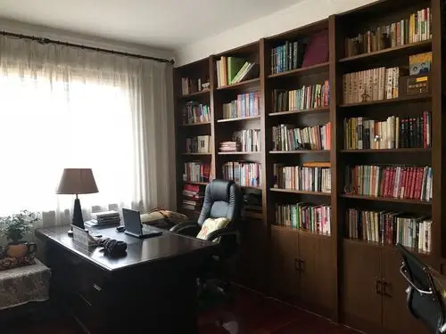 阳光透过窗帘,照进我家书房