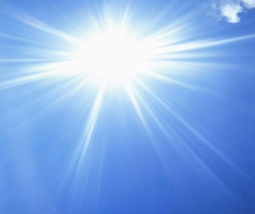 光照充足,其叶片的颜色十分明丽鲜艳,但是如果长时期被灼热的太阳光