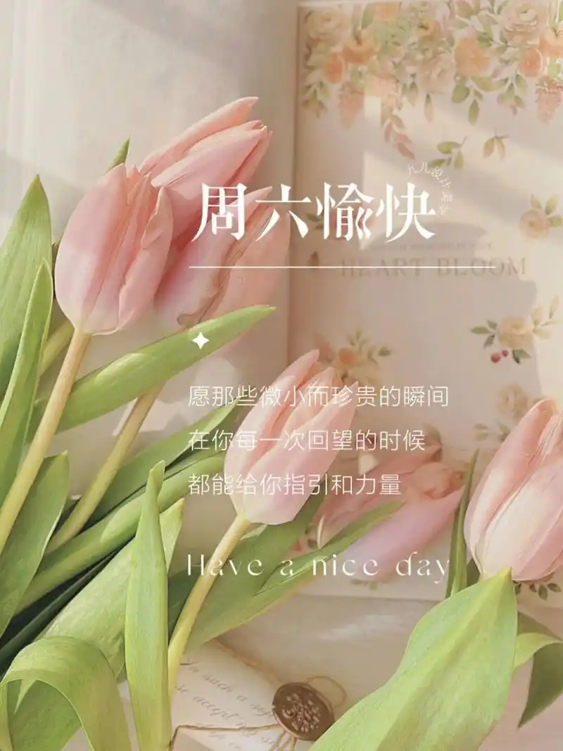 周六愉快日签图分享| 朋友圈美学| 文案分享 #浪漫生活的记录者