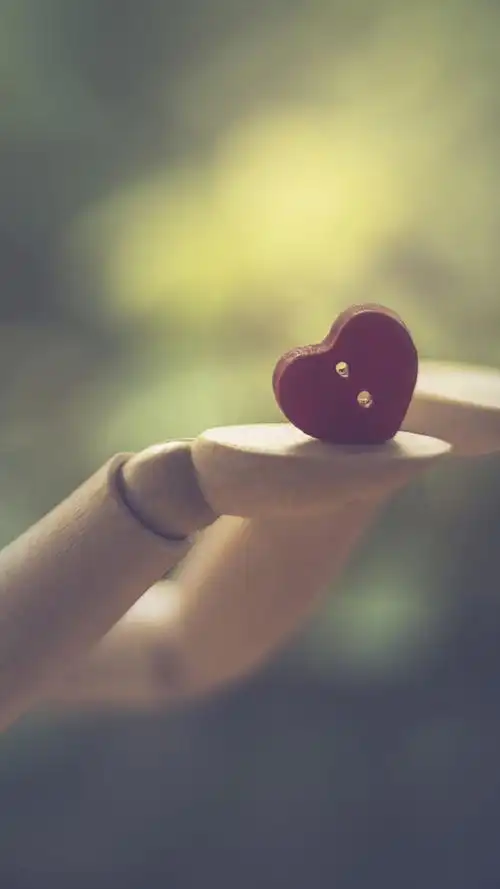 小清新爱心静物图片手机壁纸