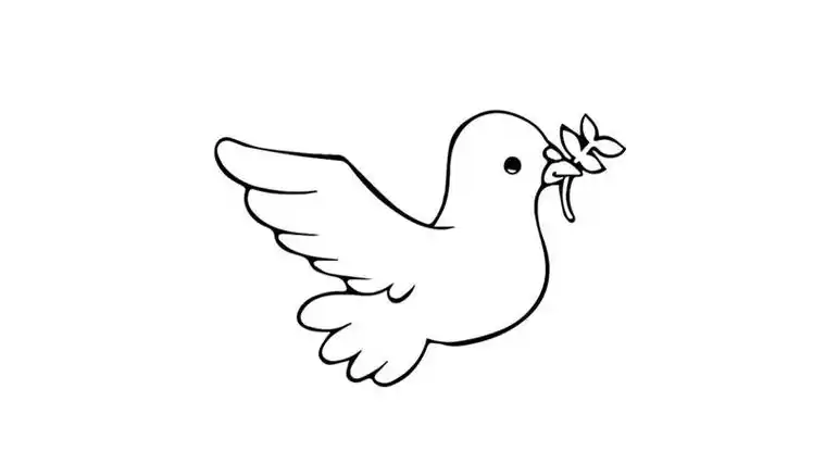 飞的简笔画小鸽子