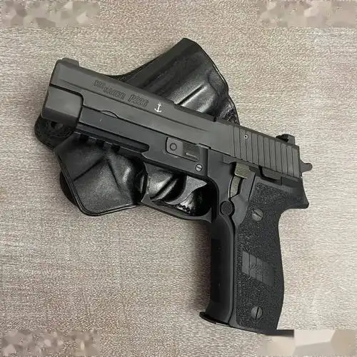 海豹专属西格绍尔公司p226手枪图集