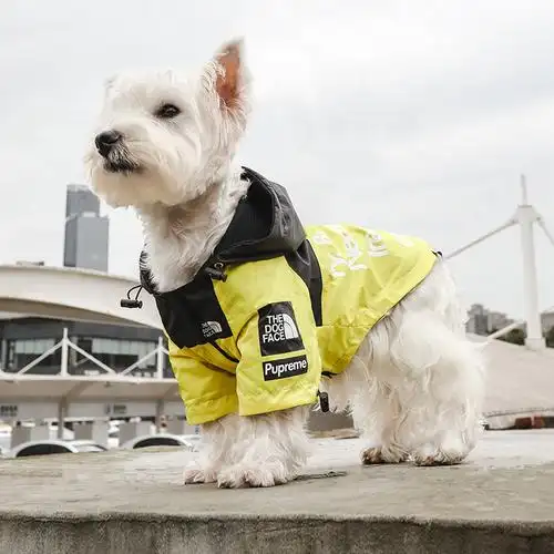 潮牌北面狗狗冲锋衣狗狗衣服秋冬羽绒服小型犬加厚冬季保暖棉衣