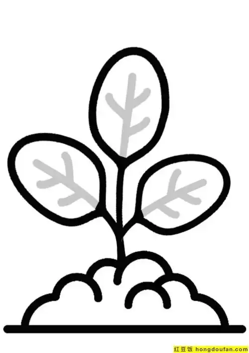 如何简单画出好看的图形,怎么画各种各样的图形(10张用几何形状画漂亮