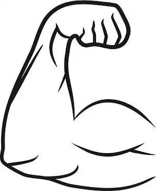 二头肌手臂,矢量图线型