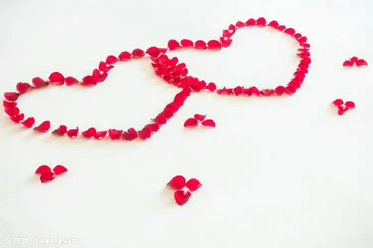 关键词:摆成爱心的花瓣图片下载,爱心,桃心,心形,玫瑰花瓣,情人节快乐