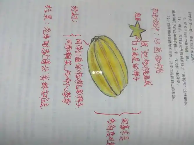 画杨桃板书设计