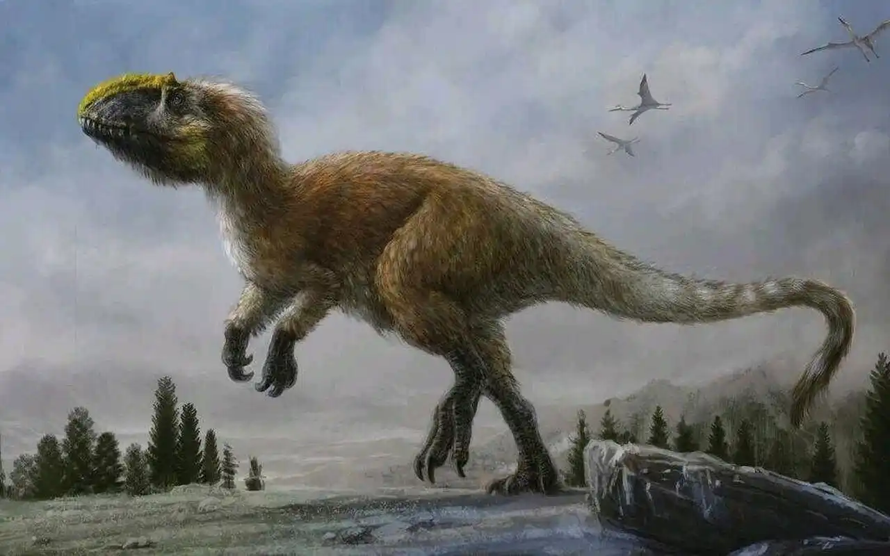 羽王龙(羽暴龙) 华丽羽王龙(yutyrannus huali) 长有羽毛的恐龙之一