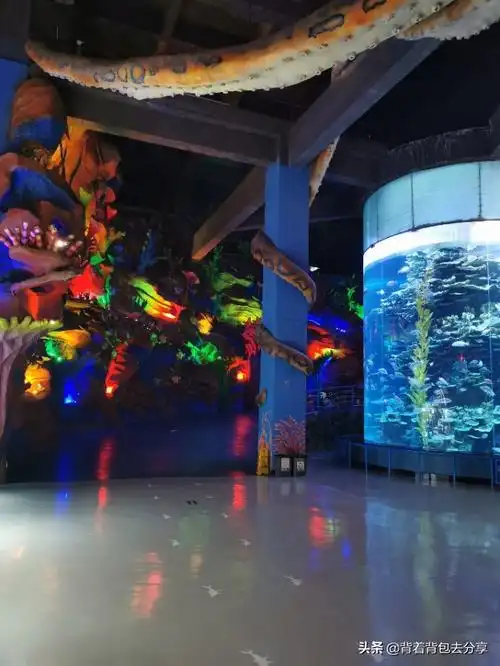 齐河泉城海洋世界(齐河海底世界) - 情书号