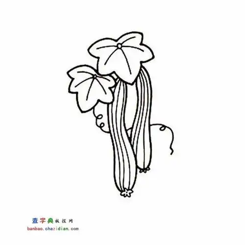 丝瓜简笔画