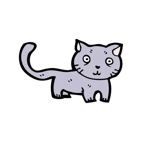 猫,矢量,在白色背景上的猫卡通