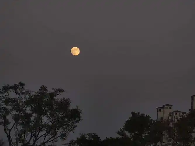 十四的月亮一样圆