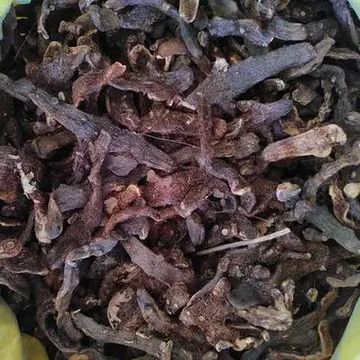 毛姜 石岩姜 爬岩姜 500g包邮正品骨碎补中药材 正宗新