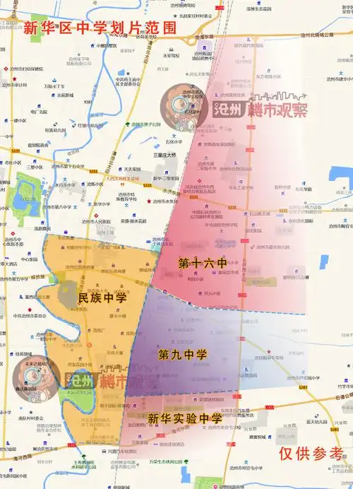 沧州新华区小初中划片图来啦!看看你们家在哪个片区