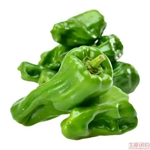 青泡椒      会员价1.98元/斤