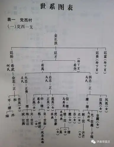 党家庄金氏家族