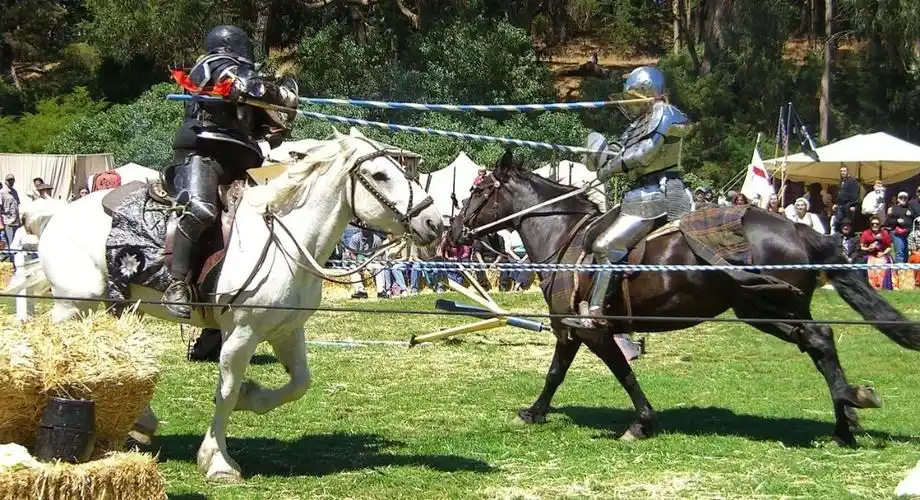 法国的海上"骑士决斗"～joute