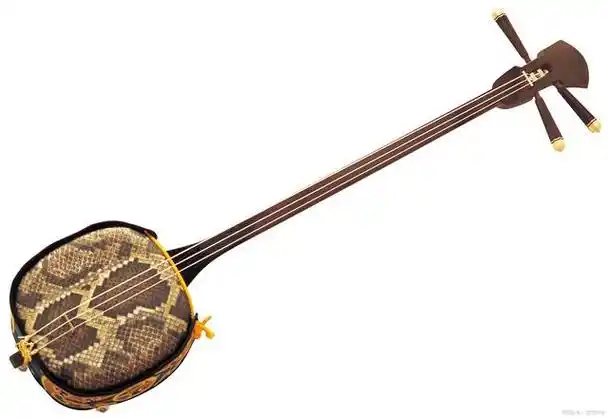 音乐的织物:弦乐器的多彩韵律