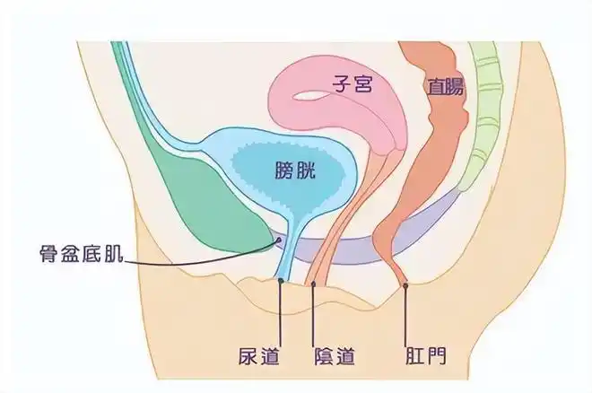 一场车祸,让她变成"石女"|手术|输卵管|血尿|窦道|李院长_网易订阅