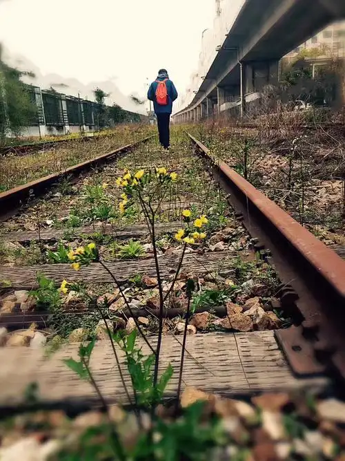 它虽然退出历史的舞台,但是它留下了火车迷的背影—浩浩.