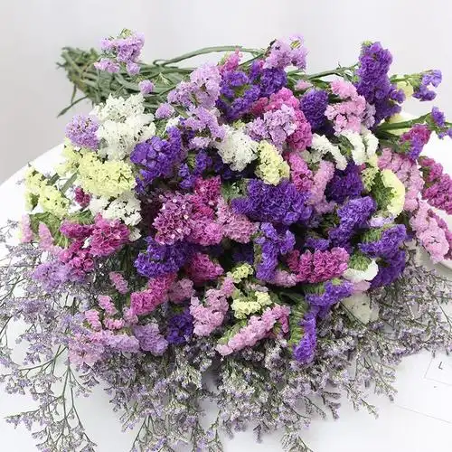 云南鲜花勿忘我干花花束小清新家居摆设客厅插花天然真花基地直发