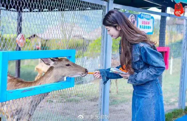 美好假期尽在廊氡