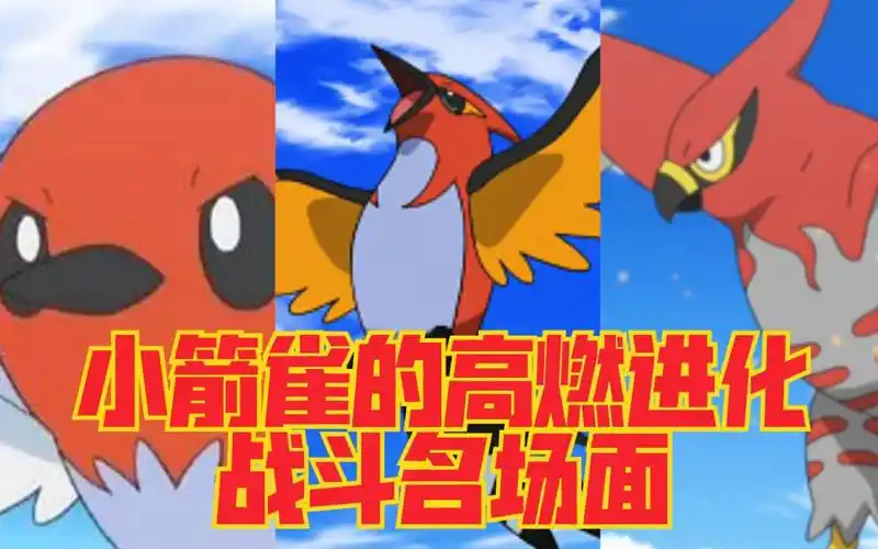 精灵宝可梦xy小箭雀的进化之路越级挑战火焰鸟毫不畏惧