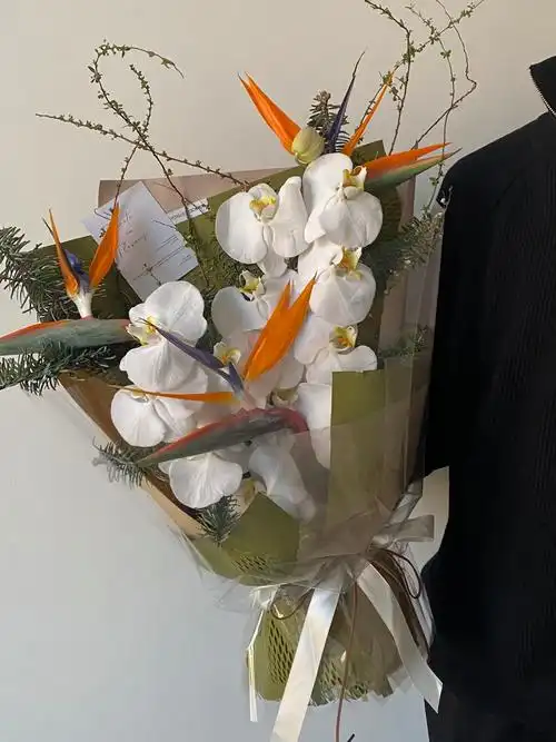 送给长辈的花束鹤望兰石家庄