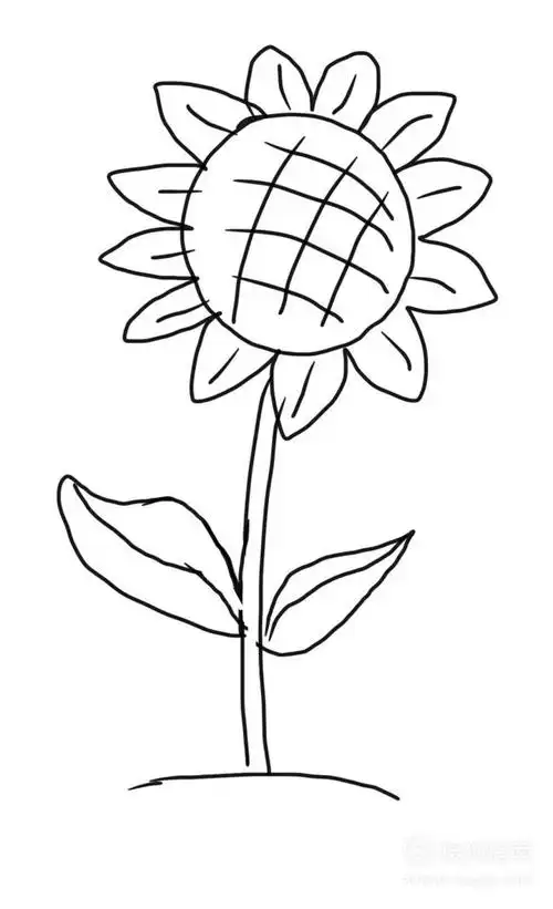 儿童画花朵的几种画法