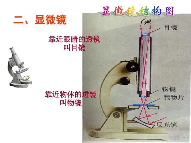 二,显微镜 靠近眼睛的透镜 叫目镜 靠近物体的透镜 叫物镜