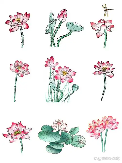 03水墨荷花|9737幅荷花图肯定有你喜欢的 03今日分享『水墨荷花