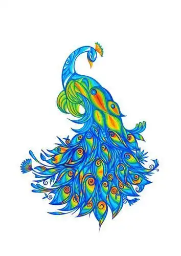 蓝孔雀升级简笔画