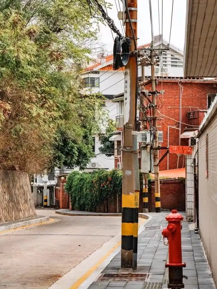 厦门拍照92|静谧老街61厦大南华路.