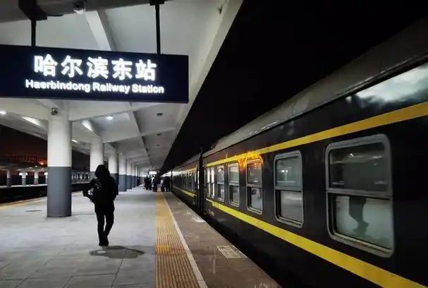 有序进站上车哈尔滨东站2021-12-30日哈尔滨东站出发本市的旅客只需