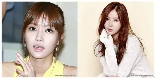 《我的id是江南美人》女主林秀香的整容说