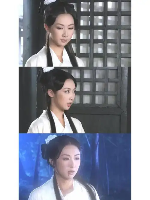 活佛济公1之怀孕郎