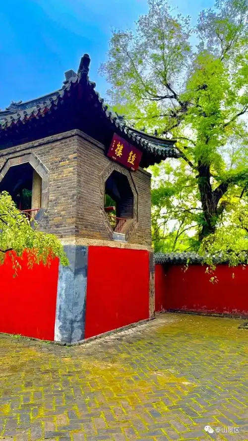 组图丨暖阳里邂逅普照寺初冬的静谧时光_泰安民生_泰安_齐鲁网