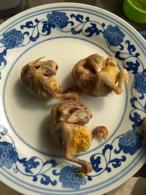 全鸡生毛鸡胚鲜活毛鸡蛋鸡蛋旺蛋珠子凤凰30包邮鸡蛋