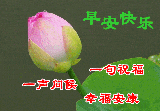 3月1日最漂亮早上好动态表情图片大全,早晨好动图美图大全_祝福