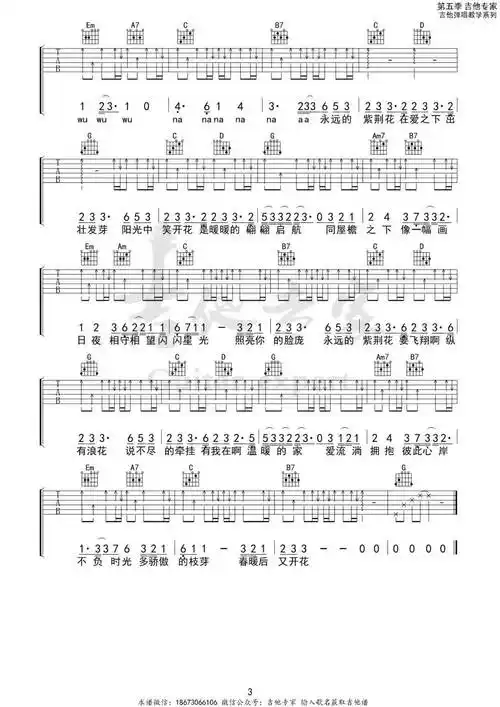 紫荆花盛开 g调吉他谱 | 李荣浩 梁咏琪