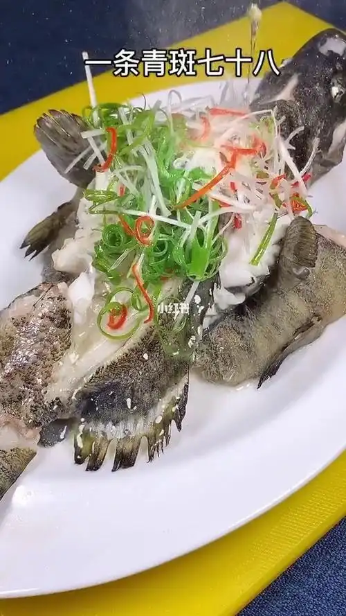 清蒸鱼的秘诀教你怎么做青斑鱼才好吃