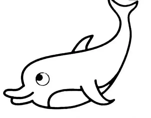 虎鲸的视频简笔画
