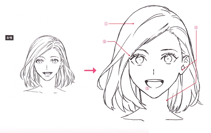 动漫人脸简笔画手帐手绘简笔画素材漫画 人物表情篇女孩右侧脸简笔画