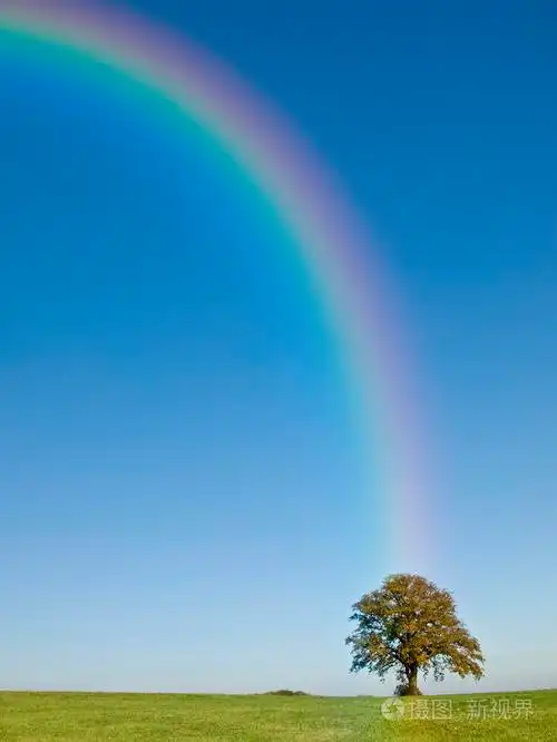 树绿色草地上的彩虹